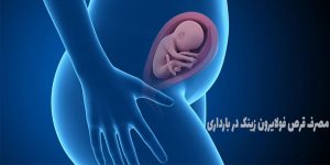 فولایرون زینک در بارداری