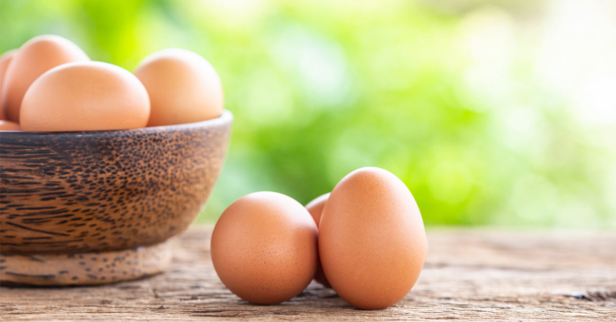 تخم مرغ برای تقویت حافظه