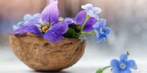 12 خاصیت گل بنفشه برای سلامتی