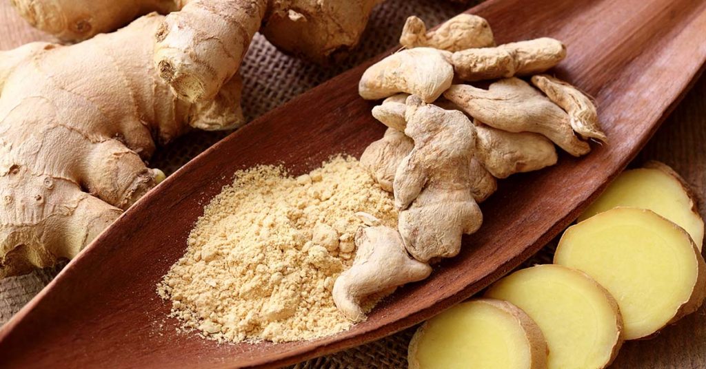 زنجبیل در میکسودین