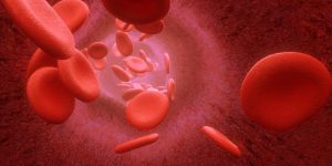 درمان غلظت خون در طب سنتی