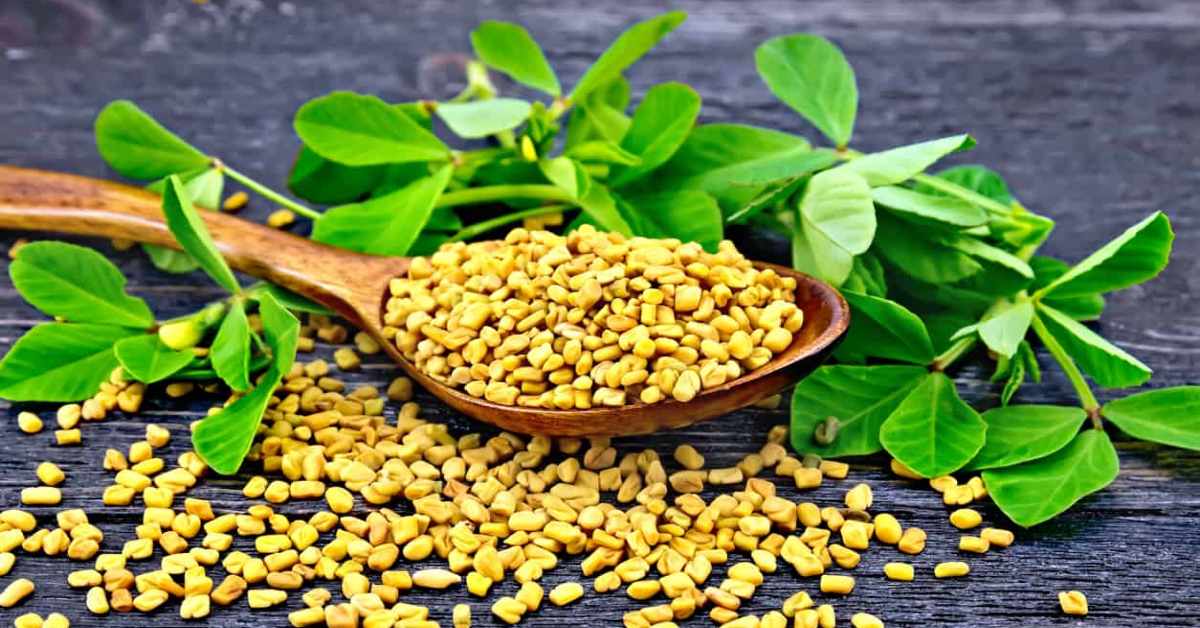 تاثیر تخم شنبلیله در کاهش قند خون دیابت