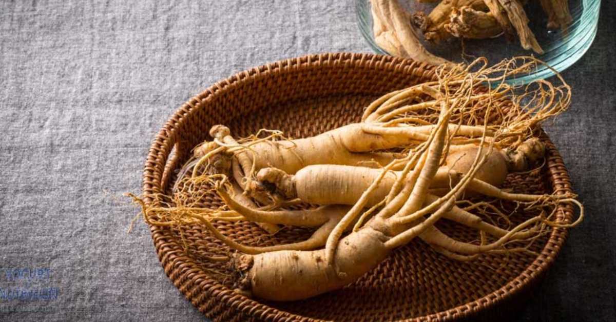 جنسینگ موجود در قرص فارماژلیتان