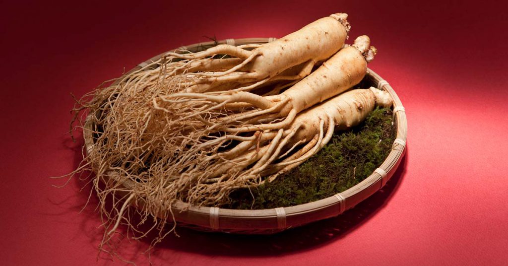 جینسینگ در قرص انرژی ایکس