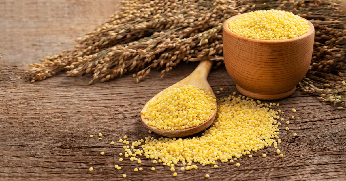 عصاره millet در ترکیبات پریوتین
