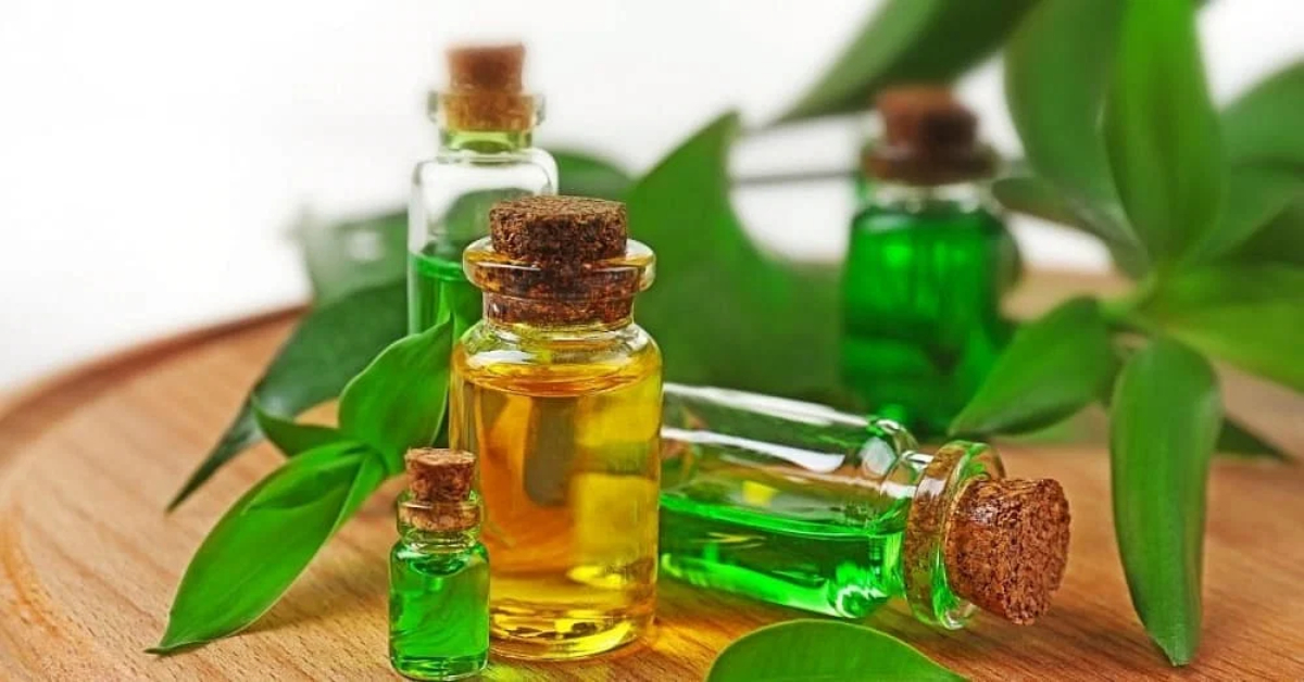 روغن درخت چای