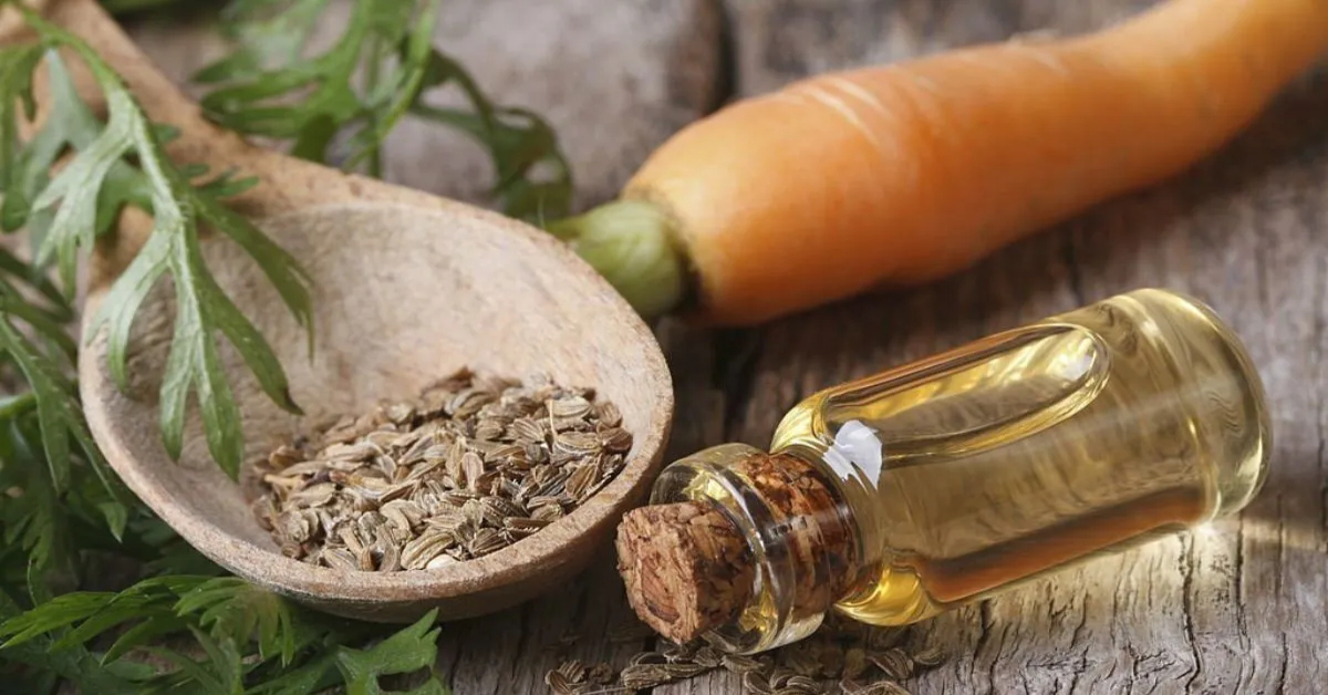 روغن بذر هویج