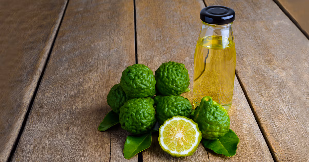 روغن ترنج