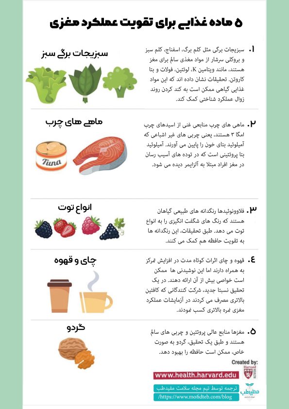 بهترین غذاهای تقویت مغز و افزایش هوش