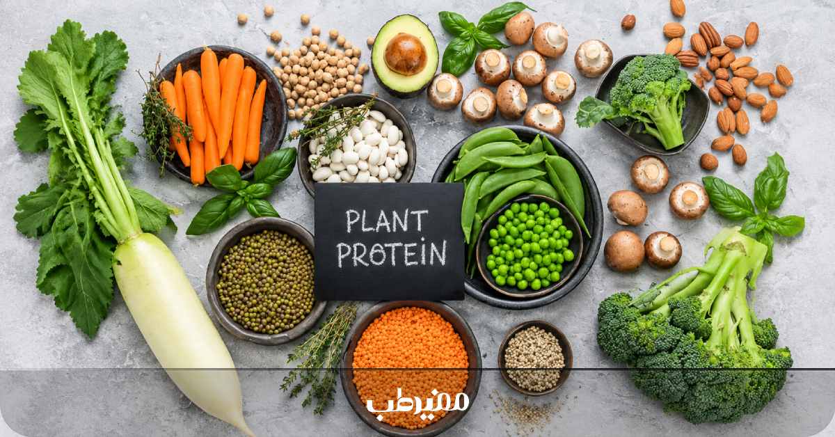مزایا و معایب مصرف منابع پروتئین گیاهی