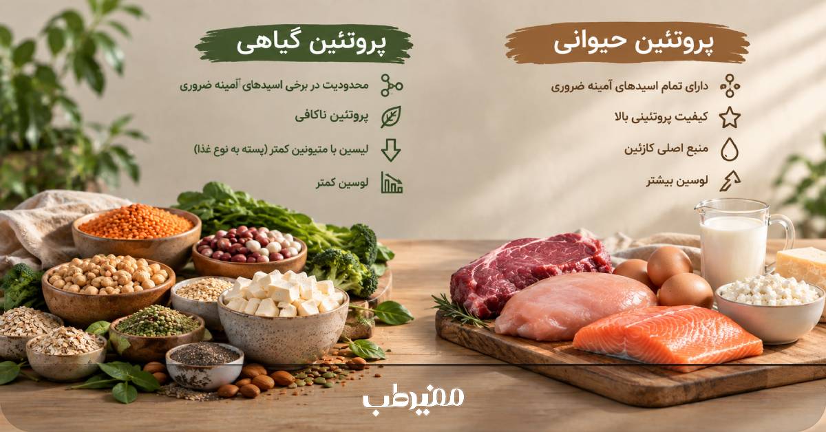 تفاوت پروفایل اسیدهای آمینه ضروری در پروتئین گیاهی و حیوانی