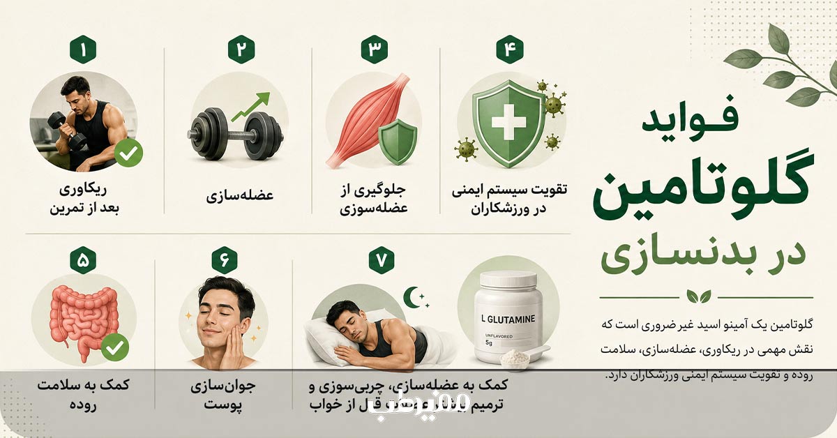 بررسی فواید واقعی گلوتامین در بدنسازی