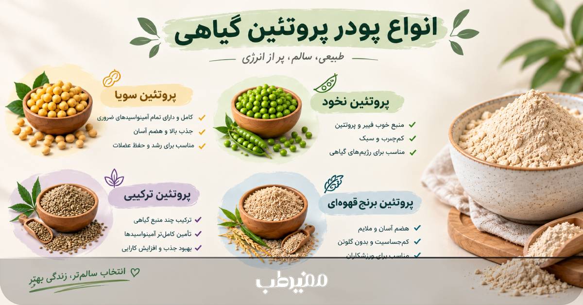 انواع پودر پروتئین گیاهی برای افزایش وزن